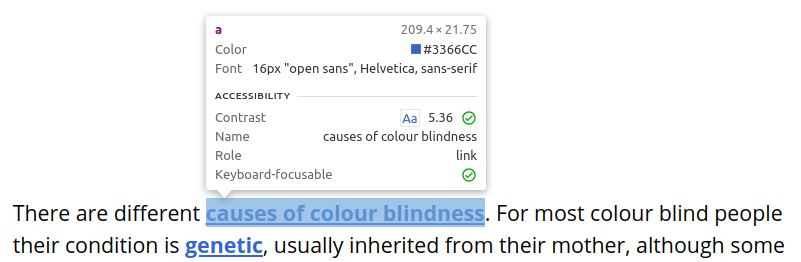 Screenshot of Accessibility Tool in Browser